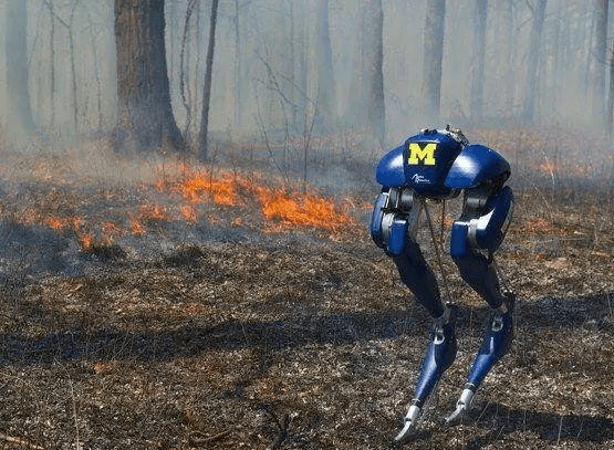 1708572941641605.png 140908286810.png